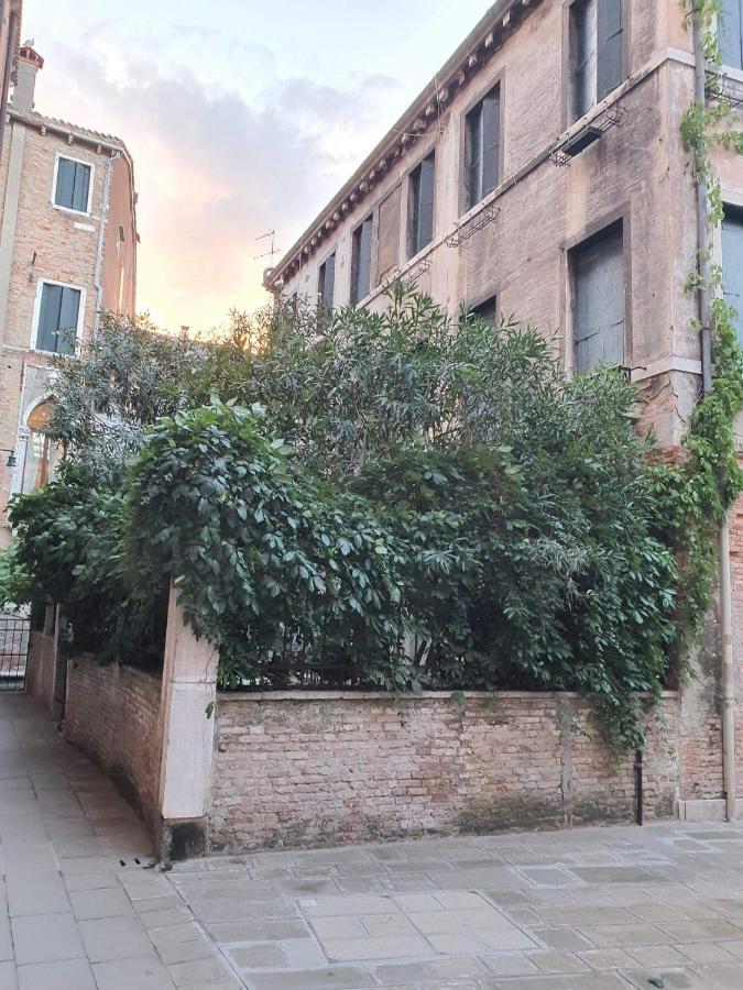 Residenza Oleandro Rosa Venedig